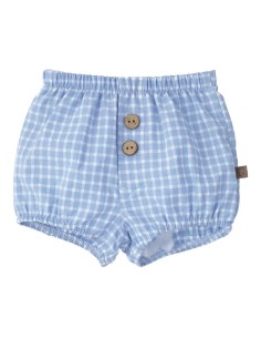 Calamaro pololo cantábrico 16062