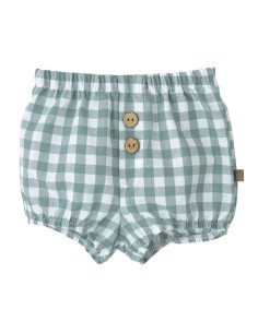 Calamaro pololo mediterráneo 16064